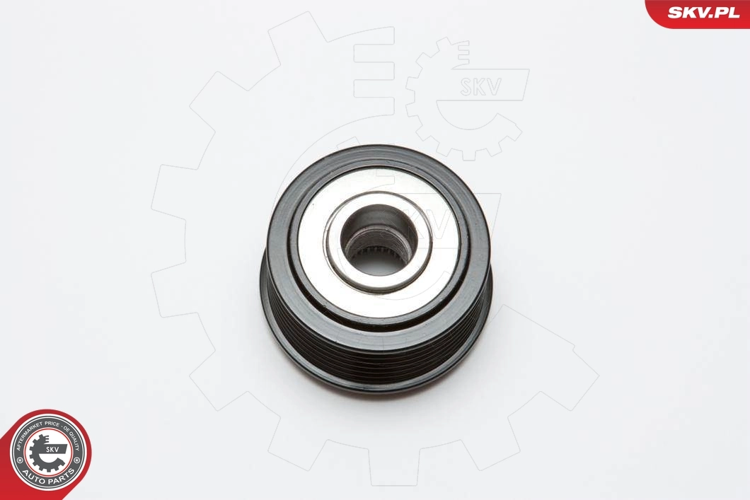 Alternator Freewheel Clutch